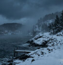 Nie tylko Stieg Larsson. Poznaj 10 genialnych szwedzkich autorów kryminałów